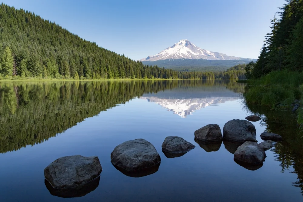 university of oregon image